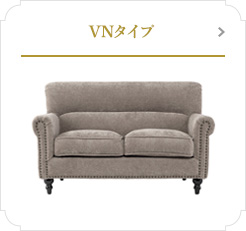 VNタイプ